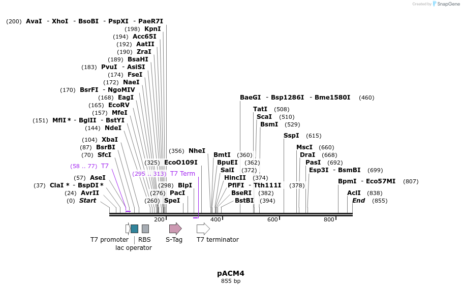 78665_map