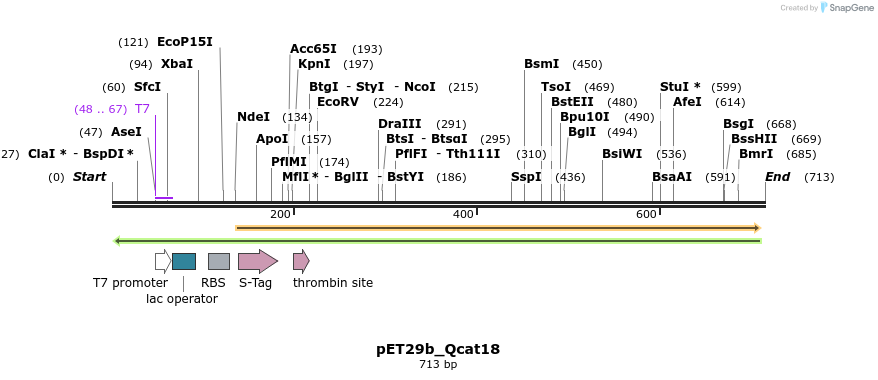 78668_map