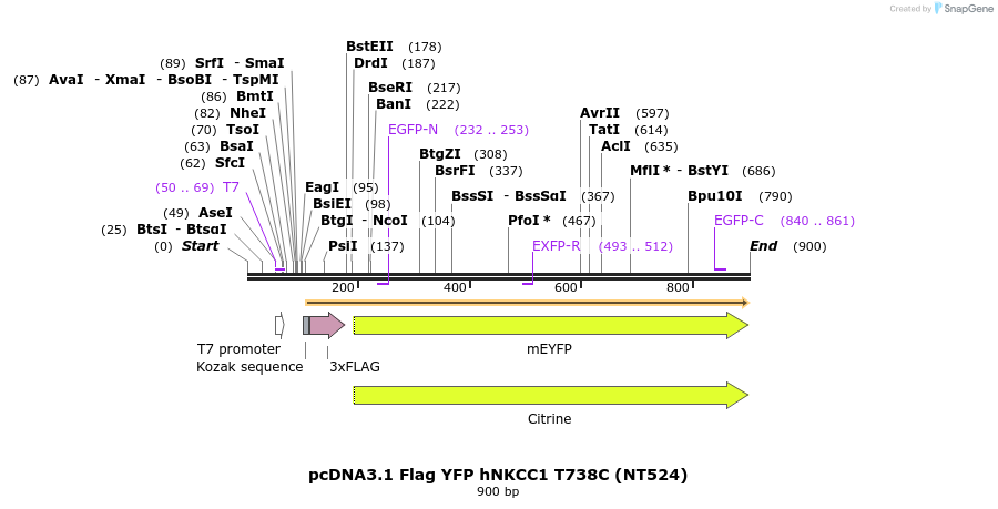 78671_map