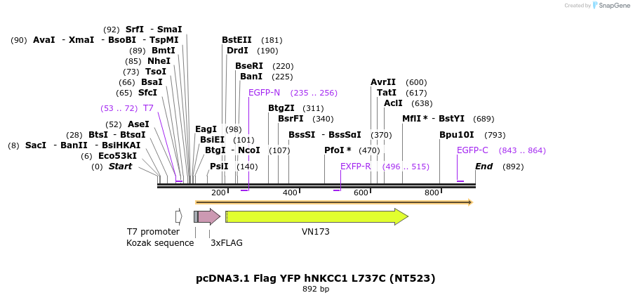 78672_map