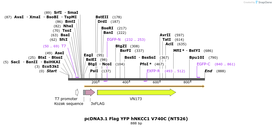 78673_map