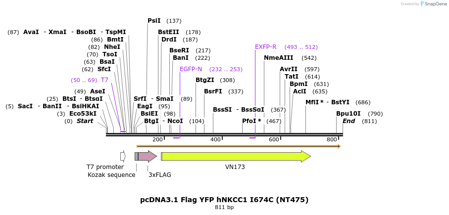 78676_map