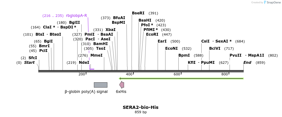 78677_map