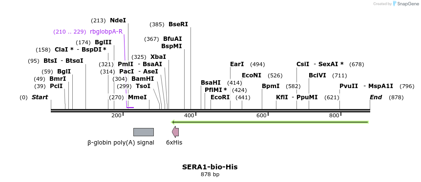 78679_map