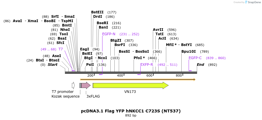 78685_map