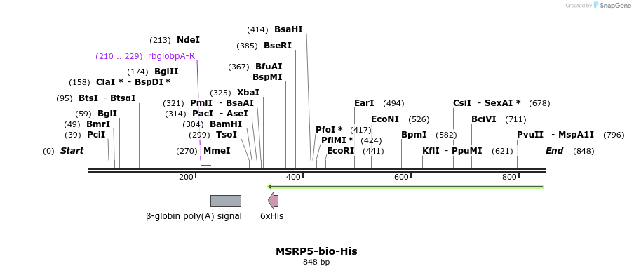 78697_map