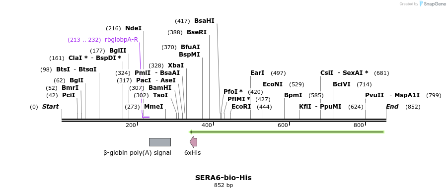 78698_map