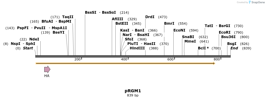 78699_map