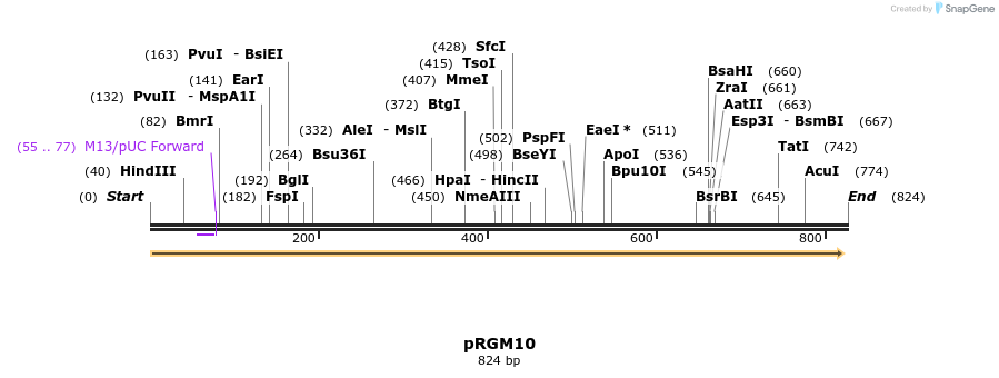 78700_map