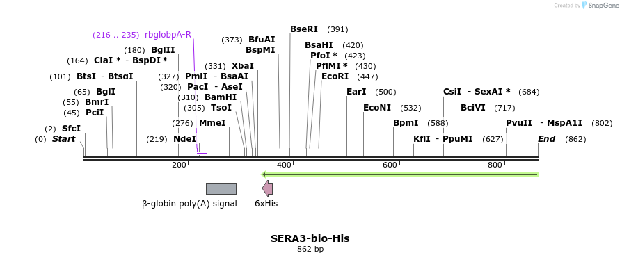 78704_map