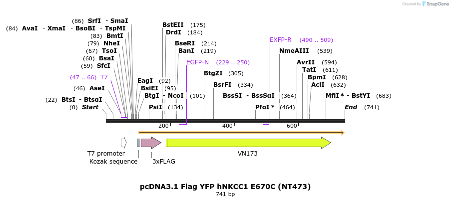 78705_map