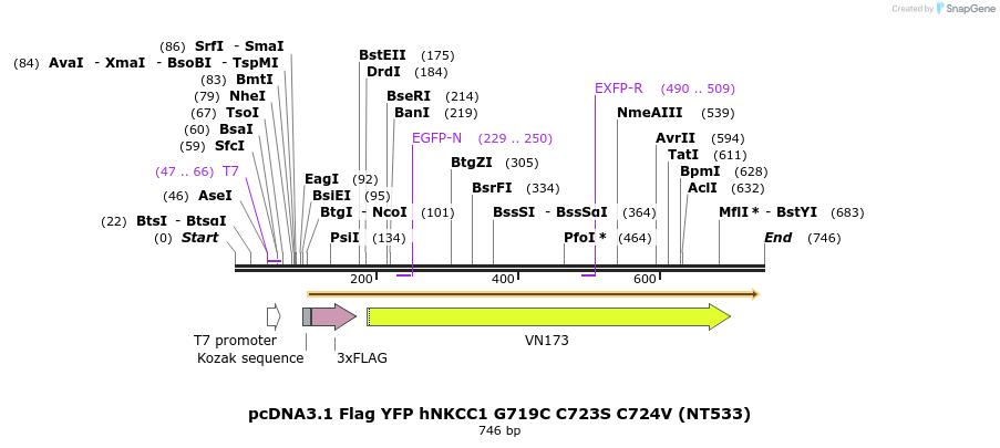 78706_map