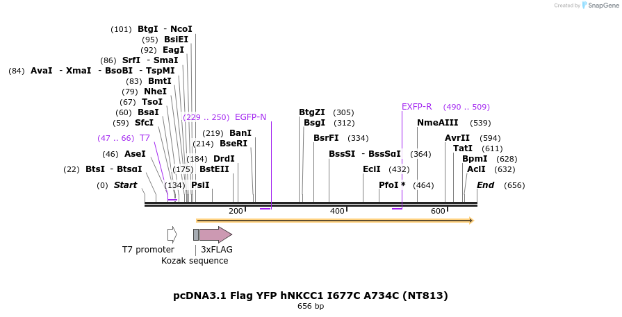 78707_map