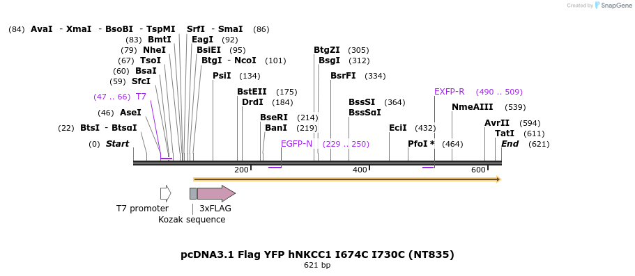 78708_map
