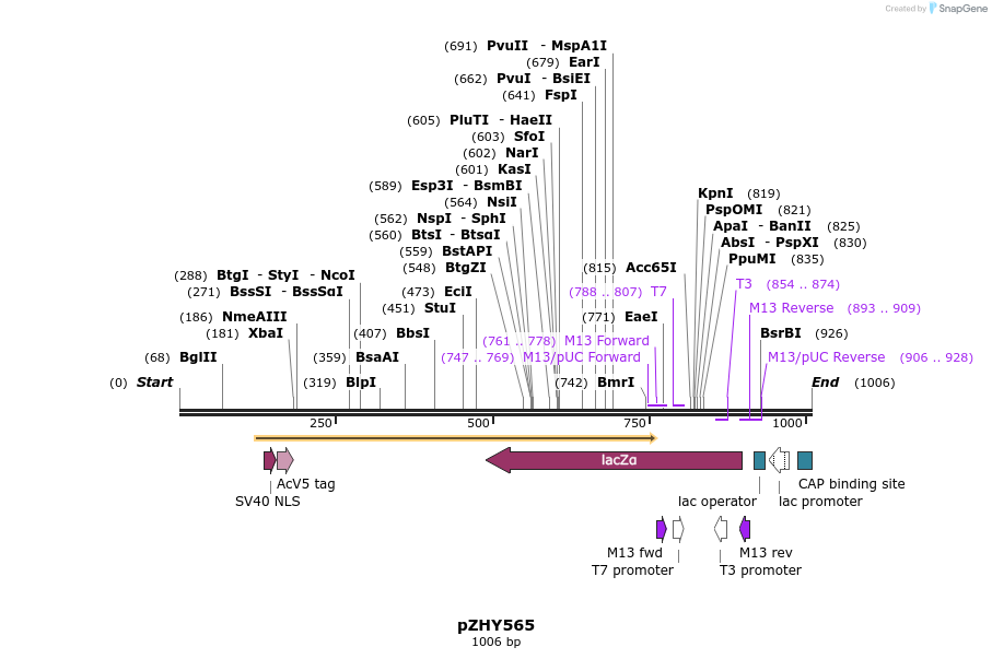 78709_map