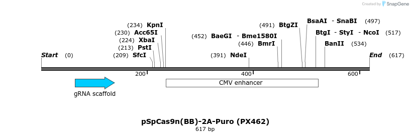 78713_map