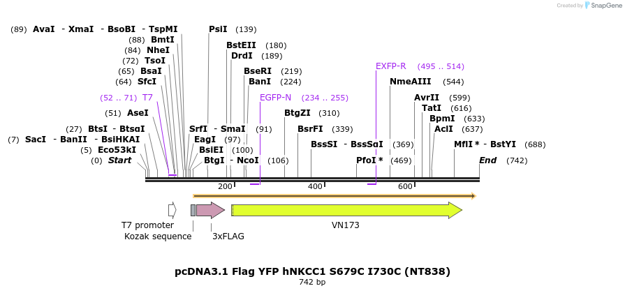 78728_map