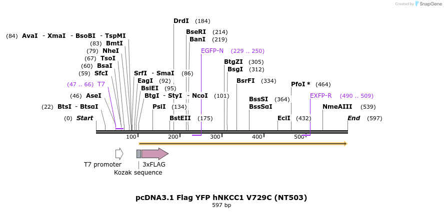 78729_map