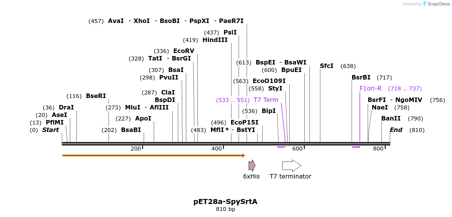 78731_map