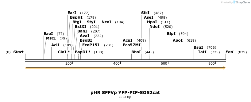 78732_map