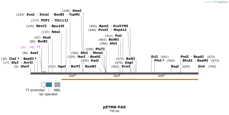 78733_map