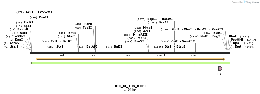 78736_map