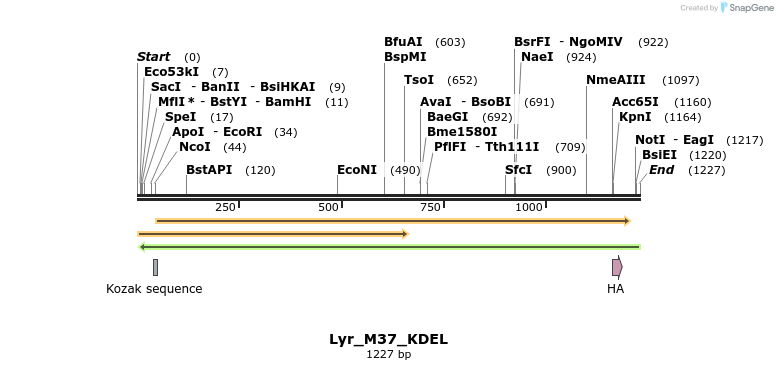 78738_map