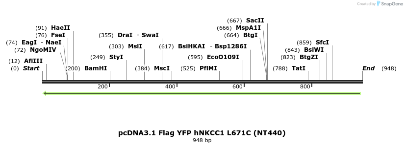 78745_map