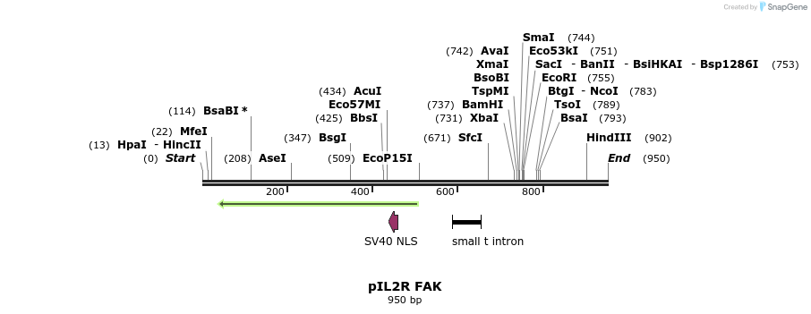78747_map