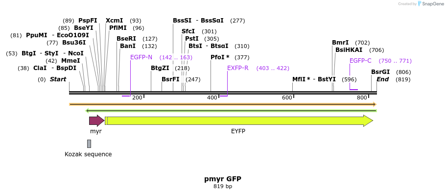78752_map
