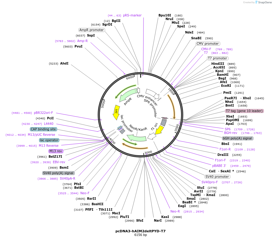 78755_map