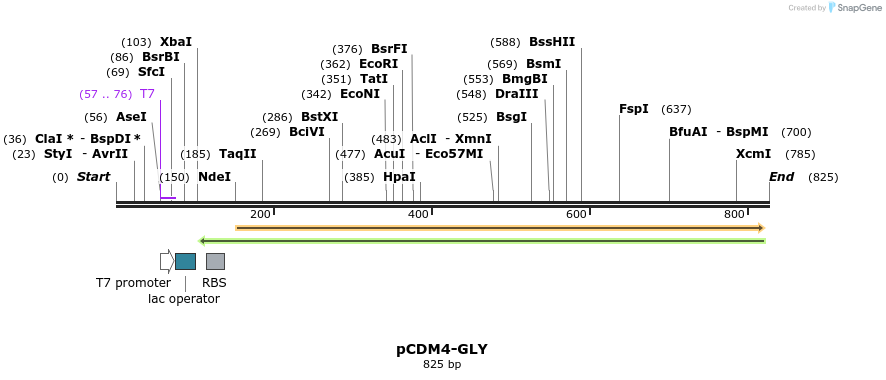 78766_map