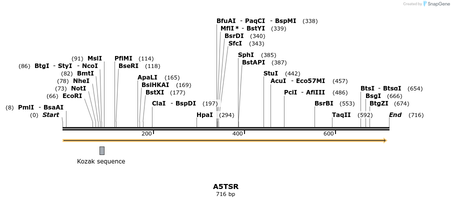 78770_map