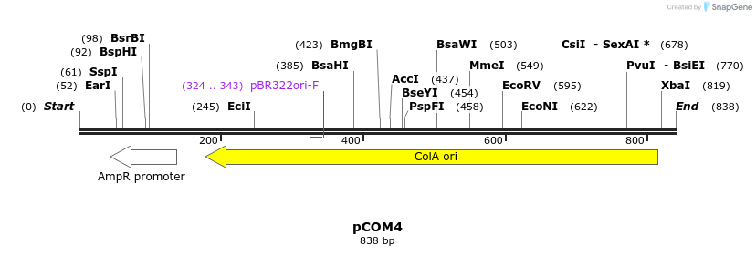 78784_map