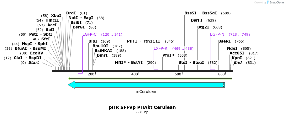 78789_map