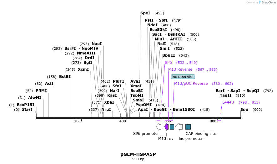 78790_map
