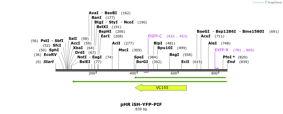 78791_map