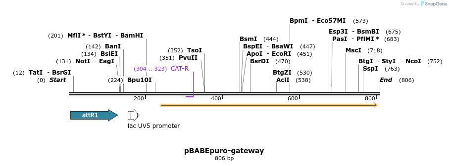 78798_map