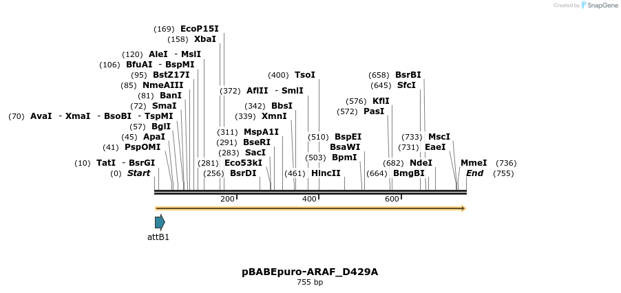 78799_map