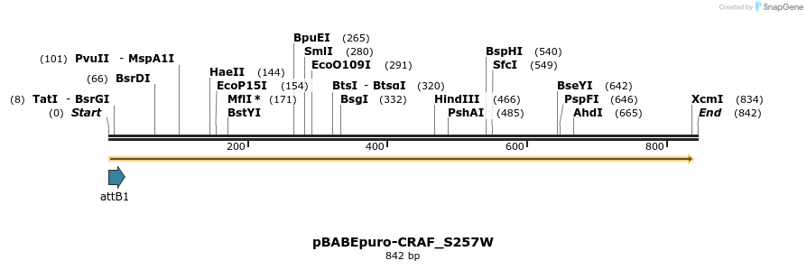 78801_map