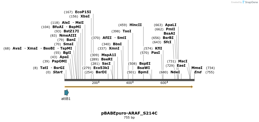 78806_map