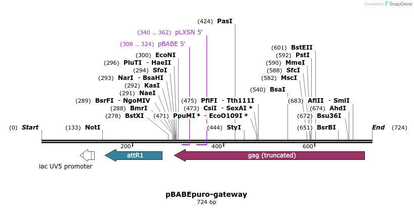 78807_map