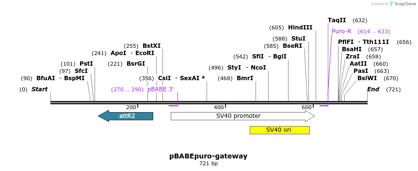 78809_map