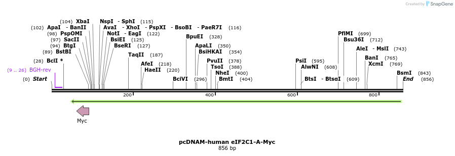 78810_map