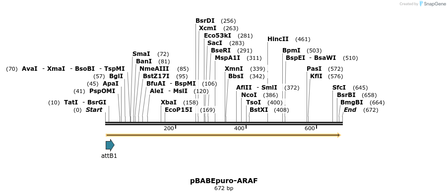 78811_map