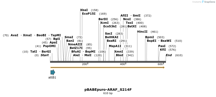 78814_map