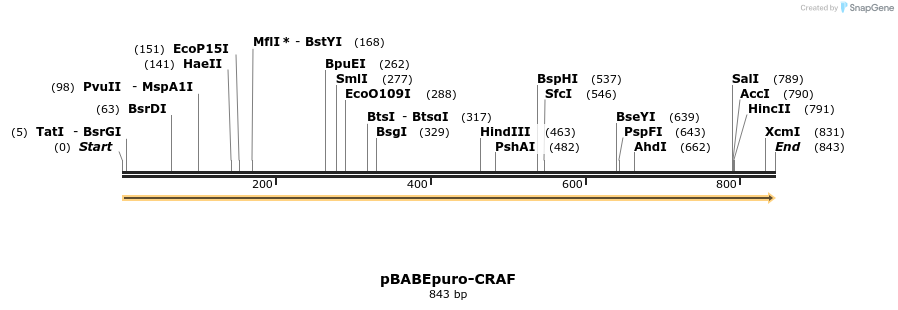 78821_map