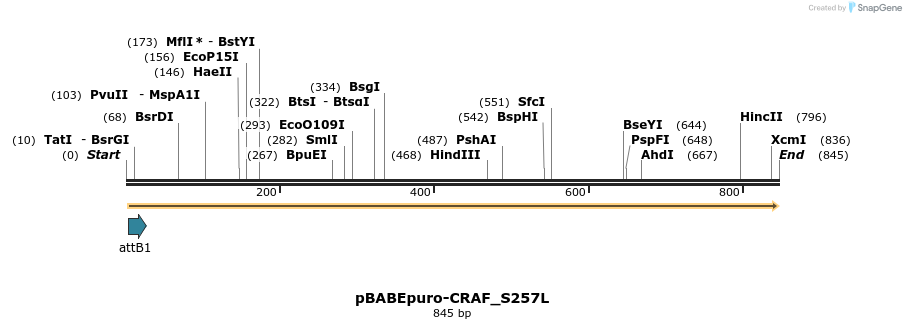 78840_map