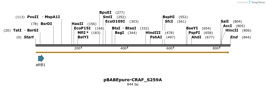 78842_map