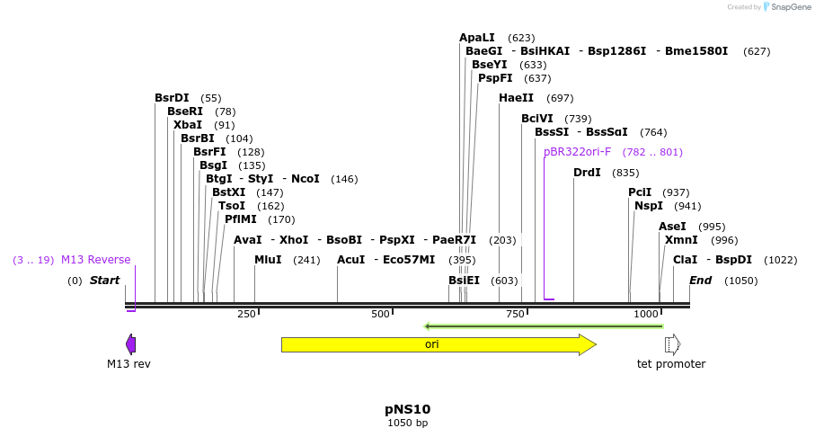 78843_map